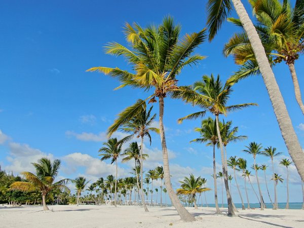 What are the benefits of fishing while camping in the UK?